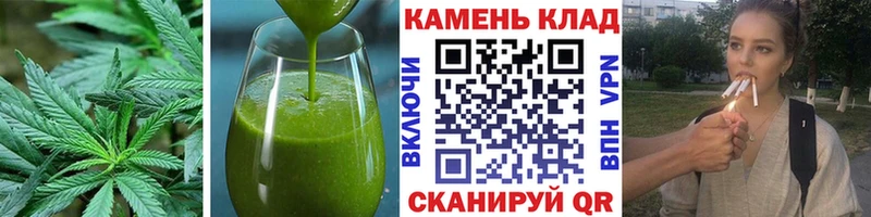 закладка  Юрьев-Польский  Canna-Cookies конопля 